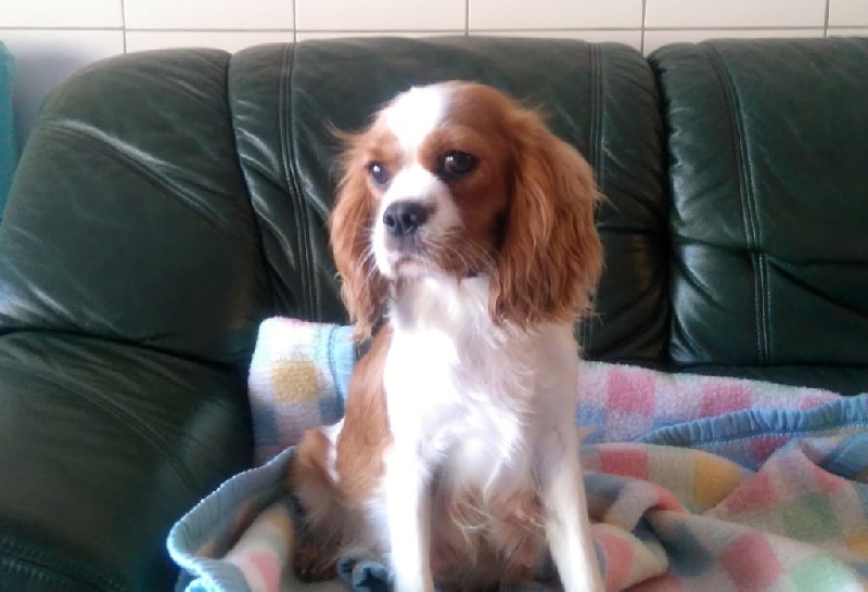 Lady (Sans Affixe)